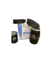 Service Kit D4100 - Fuel, Oil and Air Filter and Belt x 2<br><br>